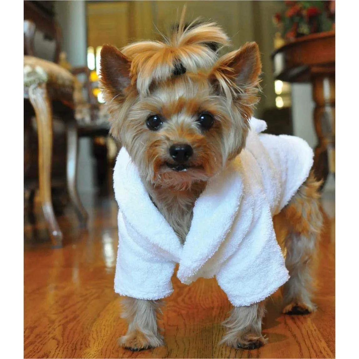 Boys Gold Crown Cotton Dog Bathrobe