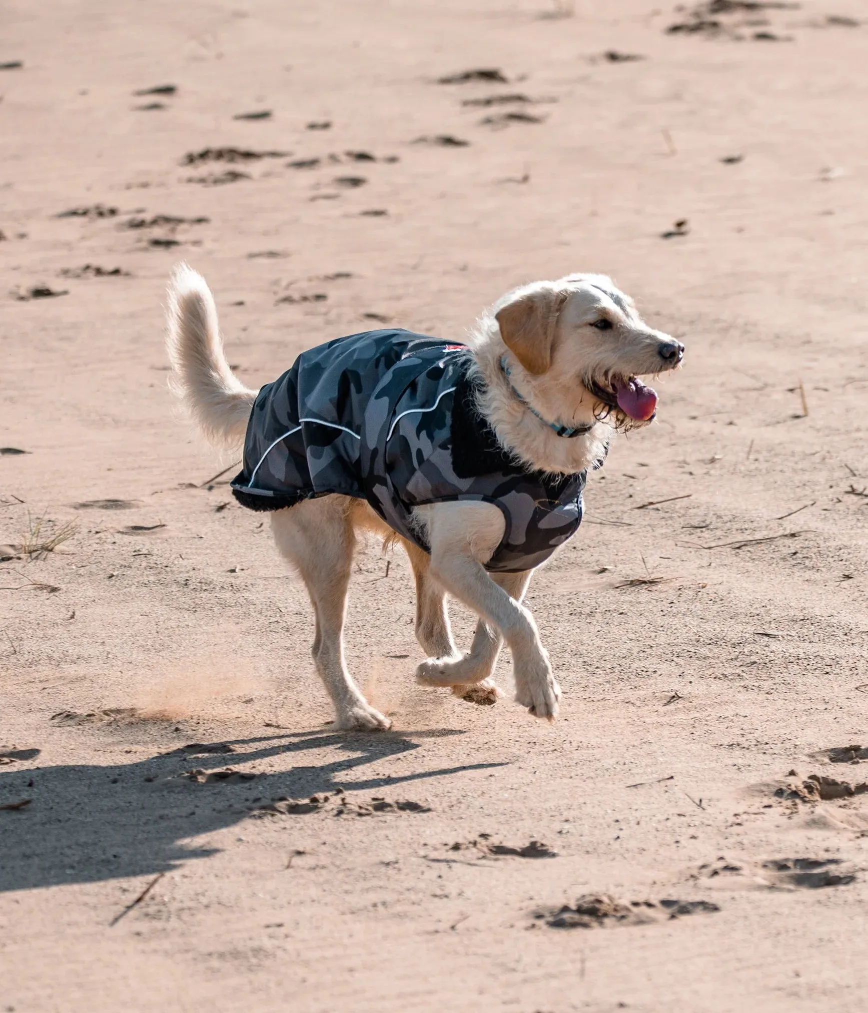 Dryrobe Dog Coat - Black Camo and Black