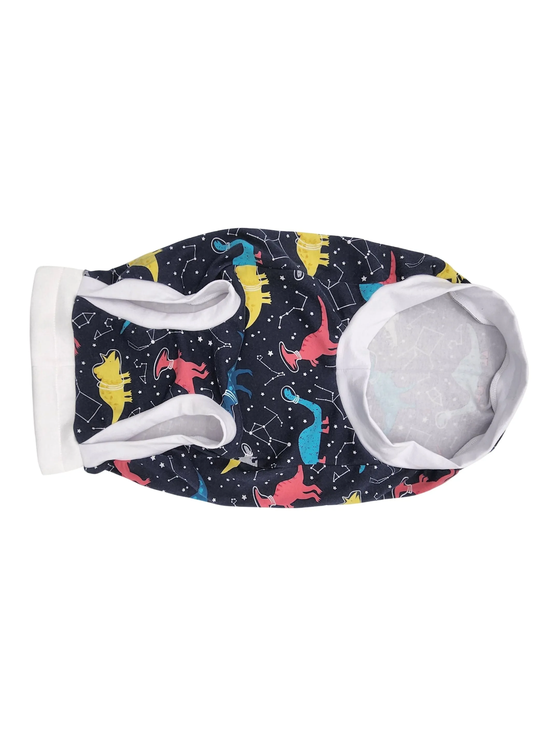 Galaxy Dino Dog Pajamas