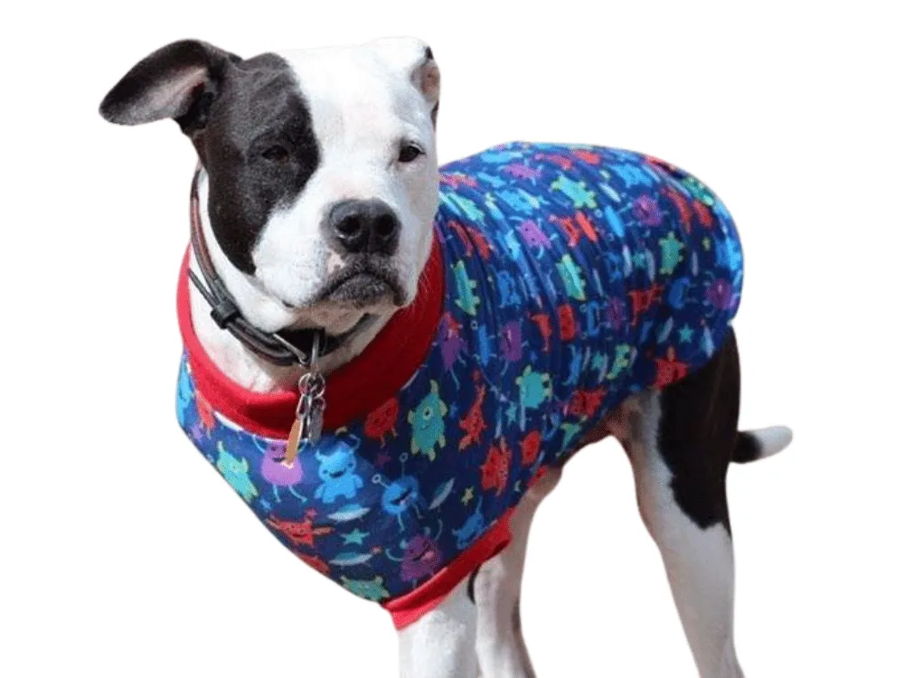 Mini Monster Dog Pajamas