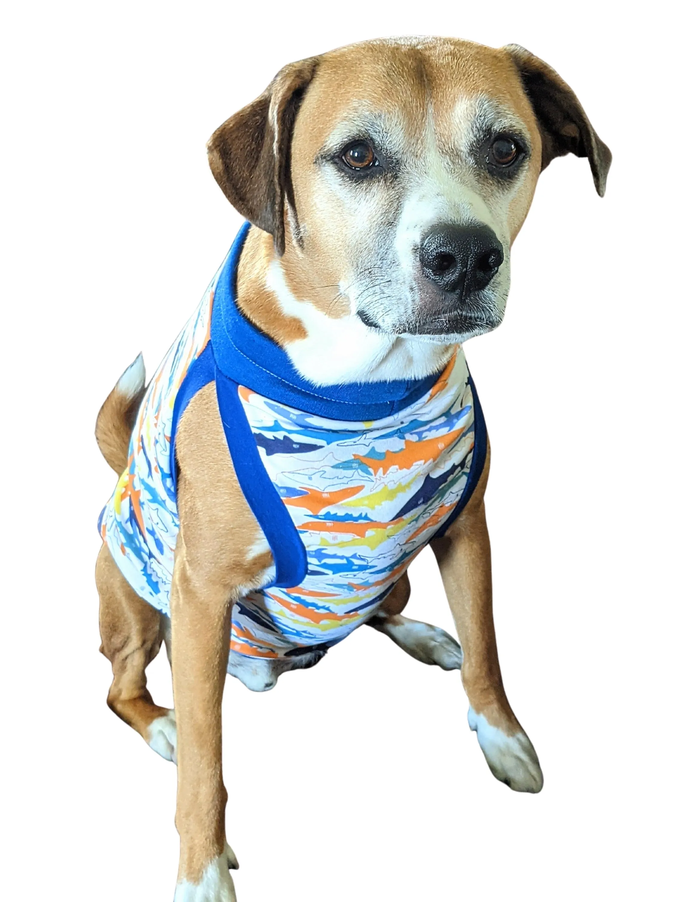 Shark Attack Dog Pajamas